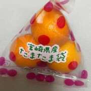 ヒメ日記 2026/02/24 09:16 投稿 渚　結月(なぎさゆづき) 九州熟女　熊本店