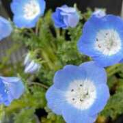 ヒメ日記 2026/03/02 09:31 投稿 渚　結月(なぎさゆづき) 九州熟女　熊本店