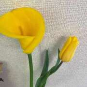 渚　結月(なぎさゆづき) お花 九州熟女　熊本店