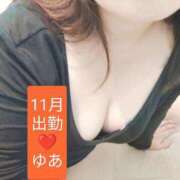 ヒメ日記 2025/10/29 11:48 投稿 ゆあ 奥様メモリアル