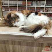 ヒメ日記 2025/11/09 16:12 投稿 ゆあ 奥様メモリアル