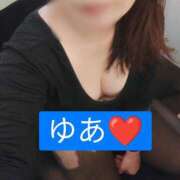 ヒメ日記 2025/12/31 08:33 投稿 ゆあ 奥様メモリアル