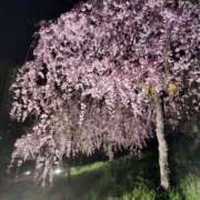 ゆあ 今週は✕ 奥様メモリアル