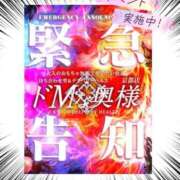 ヒメ日記 2026/06/12 20:18 投稿 雫～しずく～ ドMな奥様 京都店