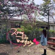 ヒメ日記 2026/06/13 09:53 投稿 雫～しずく～ ドMな奥様 京都店