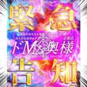 ヒメ日記 2026/06/27 19:31 投稿 雫～しずく～ ドMな奥様 京都店
