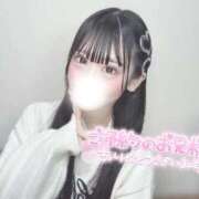 ヒメ日記 2025/10/25 09:43 投稿 まろん BLUE BIRD (ブルーバード) 上越