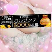 ヒメ日記 2026/03/14 08:24 投稿 あいこ 沼津人妻花壇