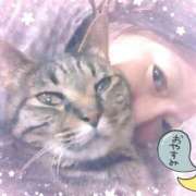 ヒメ日記 2026/03/24 04:09 投稿 あいこ 沼津人妻花壇