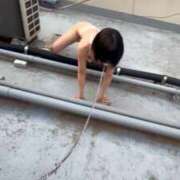 ヒメ日記 2025/09/26 11:47 投稿 きらりんレボリューション☆LUX Ribbon 1st