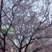 ヒメ日記 2026/04/04 00:29 投稿 冴／さえ 大宮人妻セレブリティ（ユメオト）