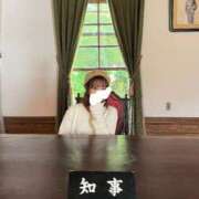 紫苑 旅行🧳 Arrest（アレスト）