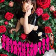 ヒメ日記 2025/11/05 23:59 投稿 らむ アネックスジャパン