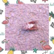 ヒメ日記 2025/08/17 21:19 投稿 りあな 松戸人妻 MAD熟女