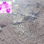 ヒメ日記 2025/08/22 13:59 投稿 りあな 松戸人妻 MAD熟女