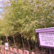 ヒメ日記 2025/09/07 05:19 投稿 りあな 松戸人妻 MAD熟女