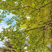 ヒメ日記 2025/11/13 09:09 投稿 りあな 松戸人妻 MAD熟女