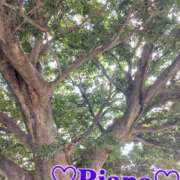 ヒメ日記 2025/11/16 15:59 投稿 りあな 松戸人妻 MAD熟女