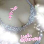 ふうな 出勤🌱 おっぱいパラダイス(姫路)