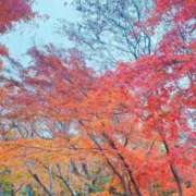 ヒメ日記 2025/10/16 08:25 投稿 こころ 上野ハイブリッドマッサージ