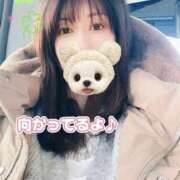 ヒメ日記 2025/11/26 13:38 投稿 こころ 上野ハイブリッドマッサージ