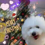 ヒメ日記 2025/12/24 22:02 投稿 こころ 上野ハイブリッドマッサージ