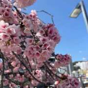 ヒメ日記 2026/03/07 06:05 投稿 こころ 上野ハイブリッドマッサージ