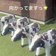 ヒメ日記 2026/06/13 16:38 投稿 こころ 上野ハイブリッドマッサージ