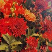 ヒメ日記 2025/09/09 17:48 投稿 こころ 品川ハイブリッドマッサージ