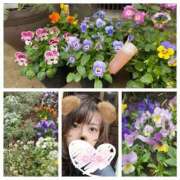 ヒメ日記 2025/10/31 15:08 投稿 こころ 品川ハイブリッドマッサージ