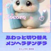 ヒメ日記 2026/04/27 17:50 投稿 こころ 品川ハイブリッドマッサージ