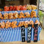 ヒメ日記 2026/02/11 10:27 投稿 ゆき 五十路有閑マダム～沖縄店～