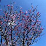 ヒメ日記 2026/03/06 10:18 投稿 ゆき 五十路有閑マダム～沖縄店～