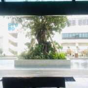 ヒメ日記 2026/03/30 16:48 投稿 ゆき 五十路有閑マダム～沖縄店～