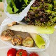 ヒメ日記 2026/03/31 12:18 投稿 ゆき 五十路有閑マダム～沖縄店～