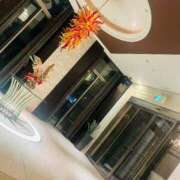 ヒメ日記 2026/04/22 11:33 投稿 ゆき 五十路有閑マダム～沖縄店～