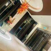 ヒメ日記 2026/04/22 12:03 投稿 ゆき 五十路有閑マダム～沖縄店～