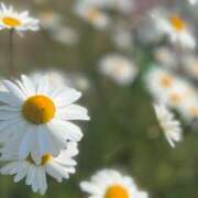 ヒメ日記 2025/08/28 11:03 投稿 じゅん あるまぎ！