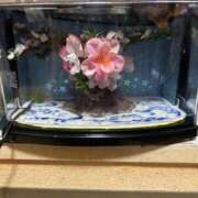 ヒメ日記 2025/12/08 12:28 投稿 あげは 妻天 京橋店