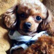 ヒメ日記 2026/01/24 12:06 投稿 あげは 妻天 京橋店