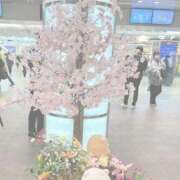 ヒメ日記 2026/03/26 15:19 投稿 まり クラブバカラ