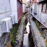 つばき 江ノ島だせ、海だぜ、エモだぜ 五反田みるみる(ユメオト)