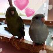 ヒメ日記 2025/08/22 17:25 投稿 スミレ【FG系列】 オトナdeフィーリングin八王子(FG系列)