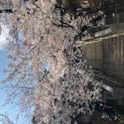 ヒメ日記 2026/04/03 12:12 投稿 遠山りん しゅうかつ倶楽部