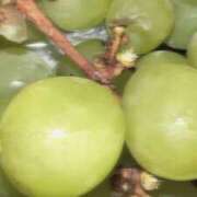 ヒメ日記 2025/09/02 15:38 投稿 ゆいか Paradis-パラディ-