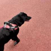 ヒメ日記 2025/10/23 08:23 投稿 はる 横浜シンデレラ（シンデレラグループ）