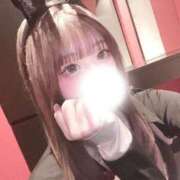 ヒメ日記 2026/03/24 10:36 投稿 あみ【ビジュ最強・スタイル◎】 ドMな逆バニーちゃん　すすきの店