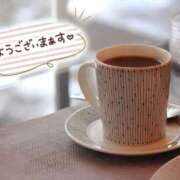 ヒメ日記 2025/08/24 07:00 投稿 しほ 素人妻達☆マイふぇらレディー