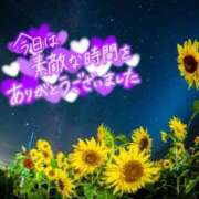 ヒメ日記 2025/08/27 18:30 投稿 しほ 素人妻達☆マイふぇらレディー