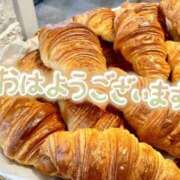 ヒメ日記 2025/08/28 07:00 投稿 しほ 素人妻達☆マイふぇらレディー